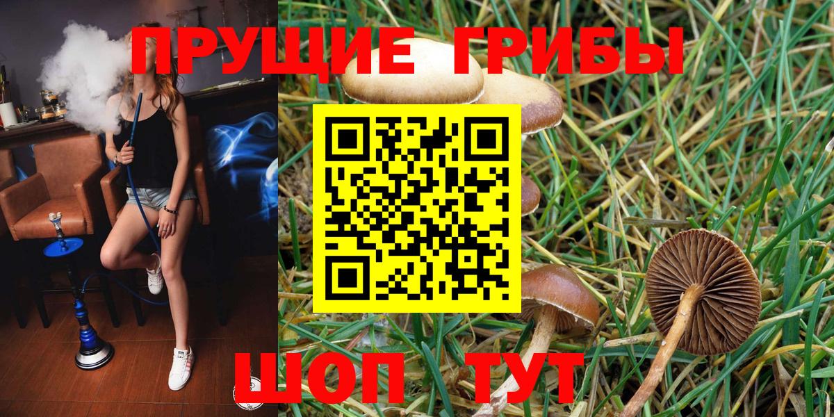 Псилоцибиновые грибы GOLDEN TEACHER  Вход с VPN  Псилоцибиновые грибы Cubensis  Кашира 