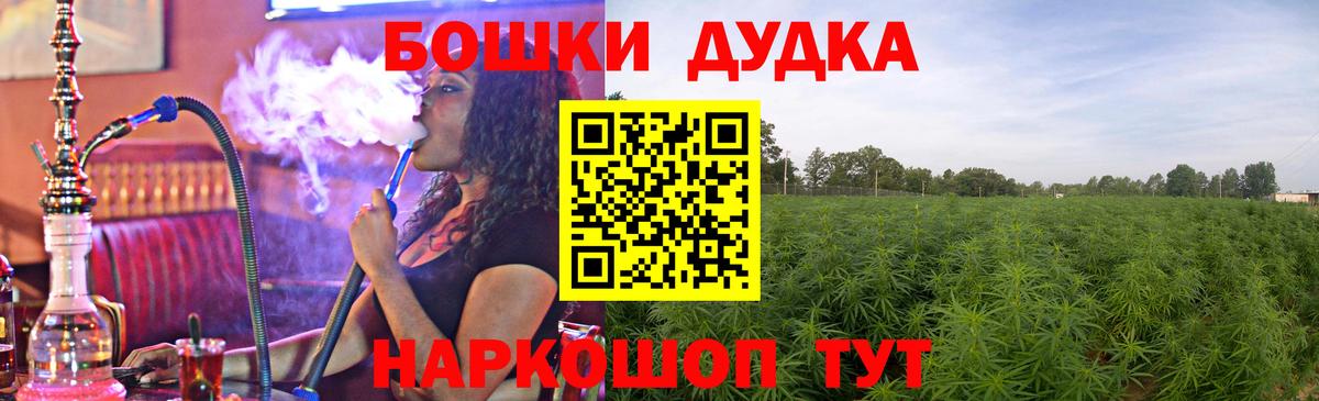 Бошки Шишки гибрид Кашира
